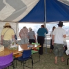 2009-02-01_sarau_festival_151.jpg