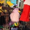 2009-02-01_sarau_festival_215.jpg